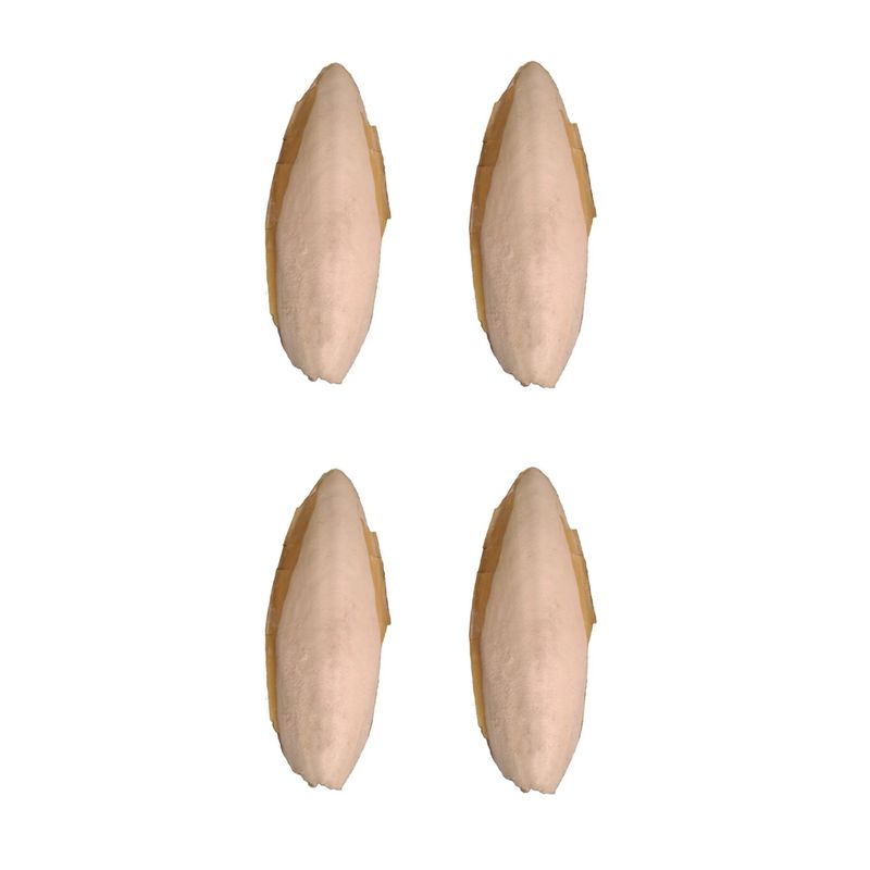 کف دریا کد 428 g وزن 28 گرم مجموعه 4 عددی